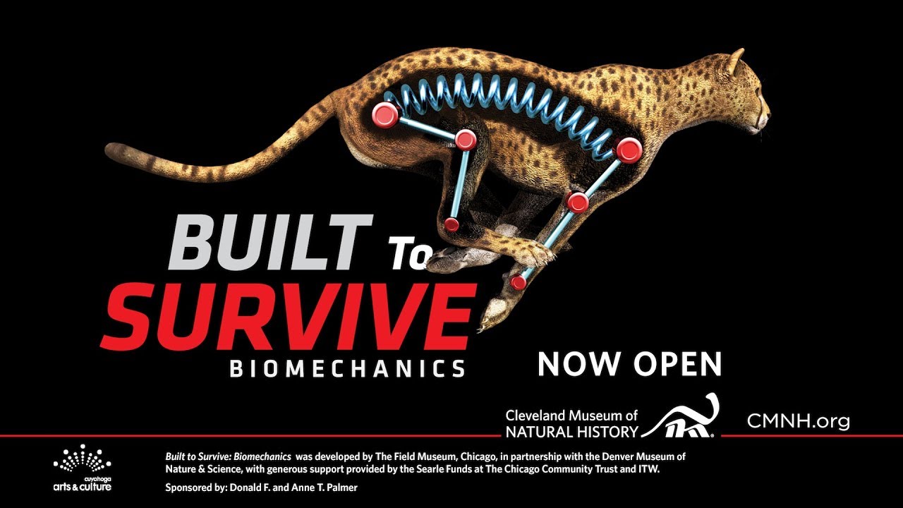 Download Built to Survive: Biomechanics at CMNH