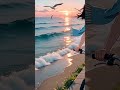 Quiet Coast &amp; Warm Breeze | Peaceful Start 🌿