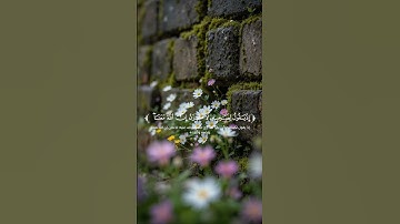 تلاوه خاشعة من سورة التوبة للقارئ فايح الحارثي ♥️🎧 #quran #اكسبلور #المصحف #تلاوة_خاشعة #راحة_نفسية