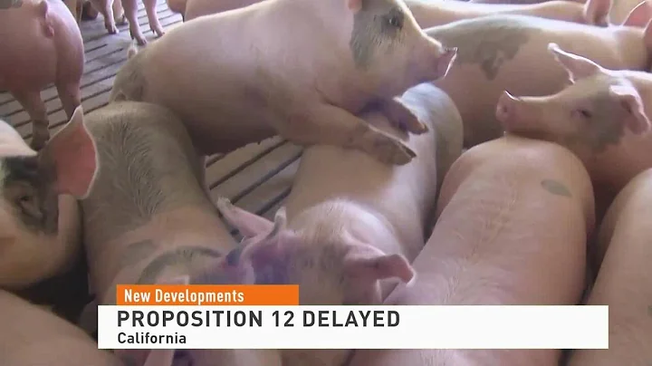 Developing Story: Prop 12 Delayed Until End of Year
