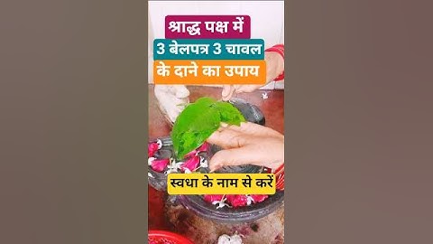 श्राद्ध पक्ष में स्वधा नाम से करे पितृदोष मुक्ति उपाय || 🙏#Pradeep Mishra #pitradosh #trandingshort