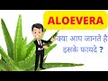 Aloevera   asclepiusstayhealthy