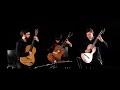 Salzburg Guitar Trio: Excerpts from the GFA 2021 International Ensemble Competition Final Round