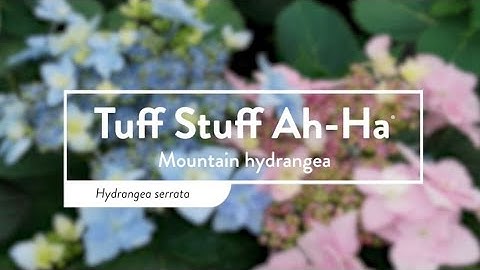 30 Seconds with Tuff Stuff Ah-Ha®