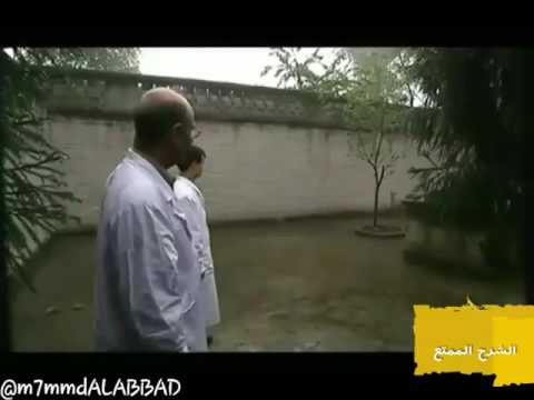 فأرة غزال المسك