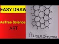 How To Draw Parenchyma Aatreescienceart Shorts Parenchyma 