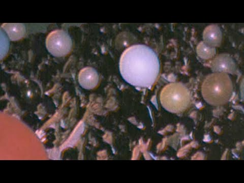 The Black Eyed Peas - I Gotta Feeling { speed up }