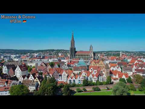 Video: Ulm De Carpen