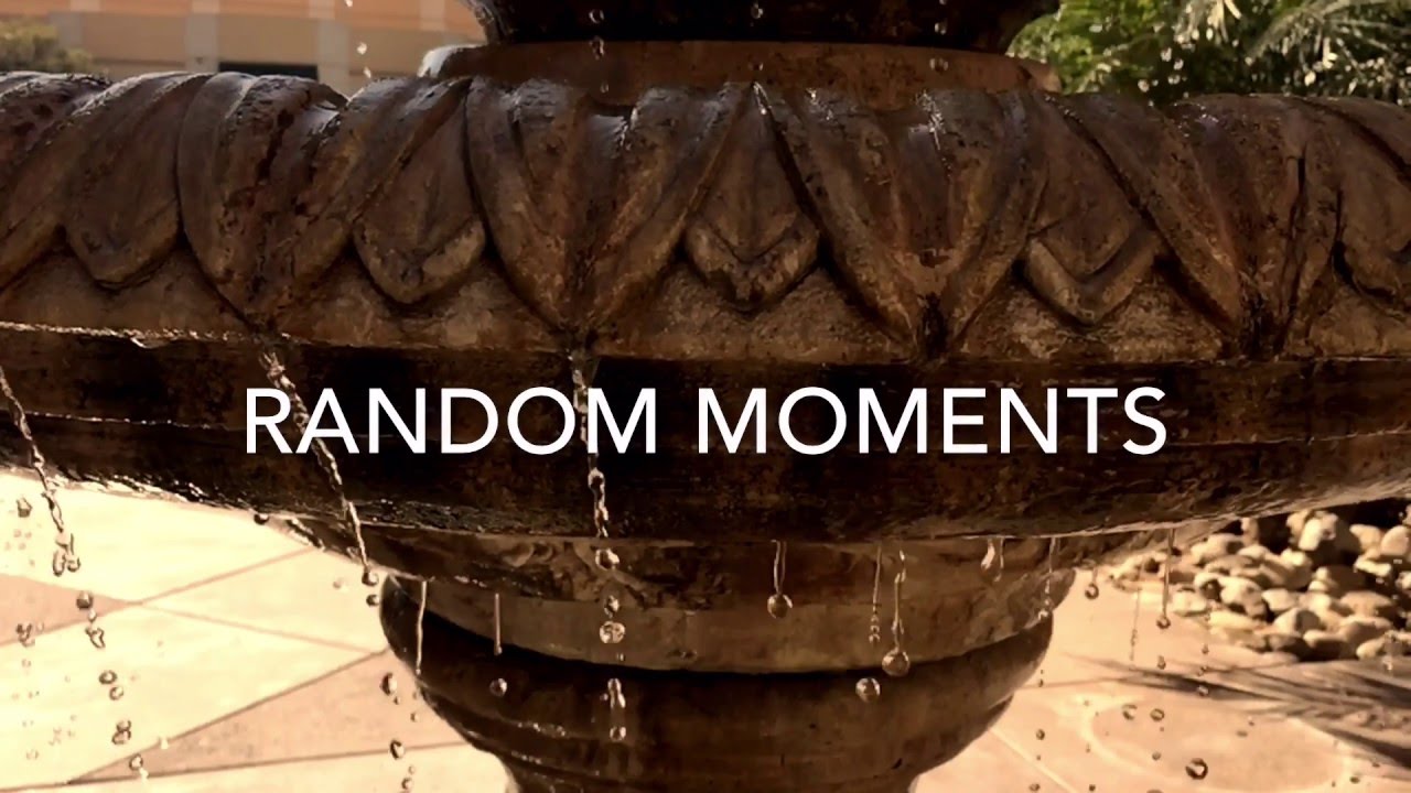 Random Moments Shot With My iPhone