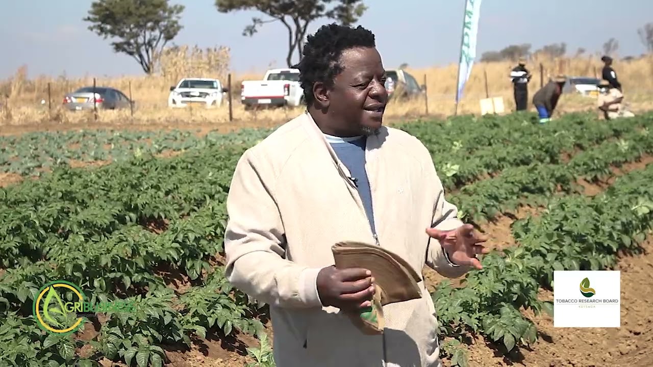 SEED POTATO FIELD DAY