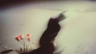 Silhouette - curv moon