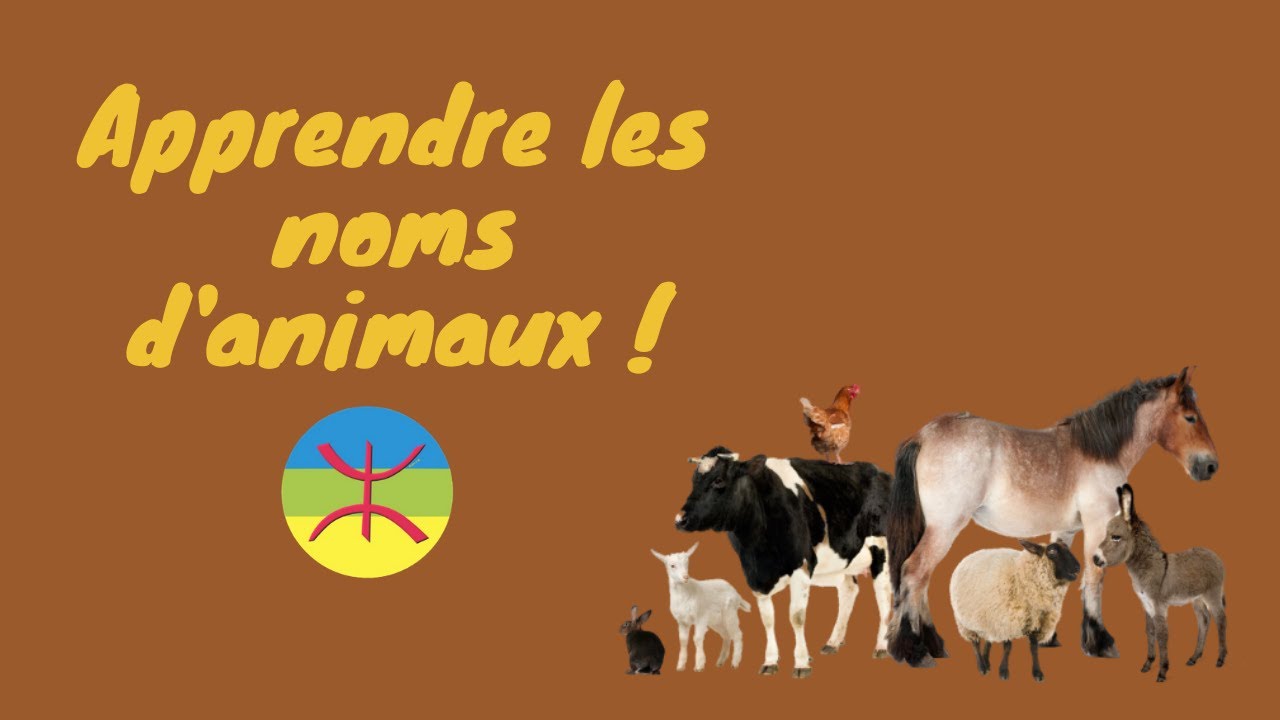 Apprendre les noms d'animaux : en berbère ! (partie 01)