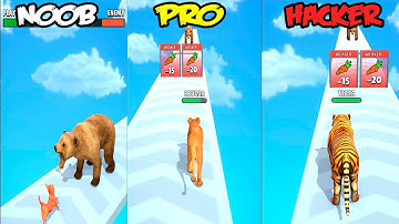 Cat Evolution - NOOB vs PRO vs HACKER