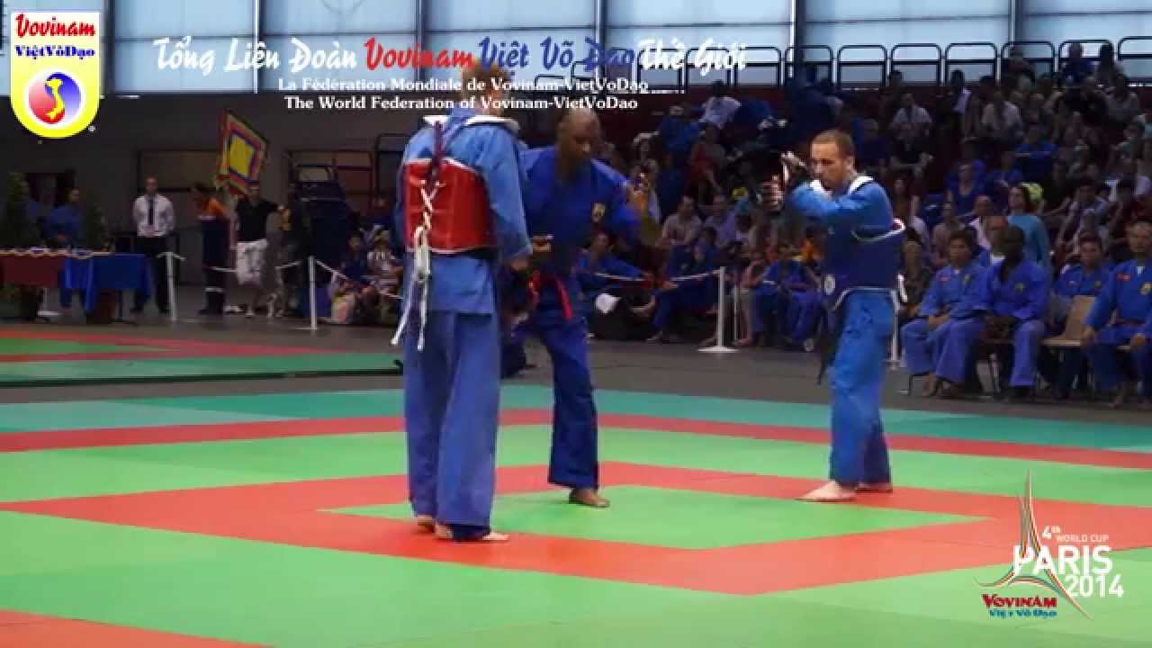 Final Fight CJ 70-75kg - World Cup Vovinam Viet Vo Dao Paris 2014
