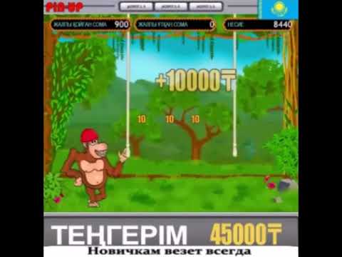 Праздник в доме