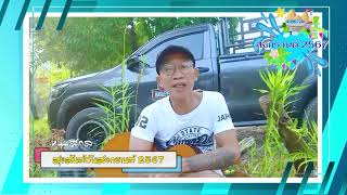 สุขสันต์วันสงกรานต์ 2567 - หนุ่มสกล