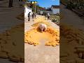 Makka Sukhayi OMG Maniy997 Funny Aishorts Comedyshorts Ytshorts
