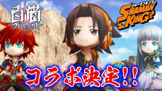 「白猫プロジェクト×シャーマンキング」コラボ決定！　登場キャラ予想、白猫紹介、ガチャの優しさなどをトーク！【実況・フル字幕】