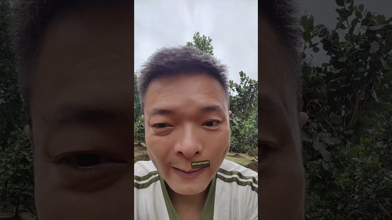 Phần 103: Điều Ghép mùa mưa Bung Chồi nhiều nên Xử Lý Như Thế Nào !