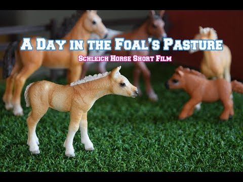 a-day-in-the-foal's-pasture---schleich-horse-short-film