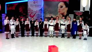 Ansamblul Mugurasii Saucesti-24 Ianuarie 2014-Promenada Mall Braila