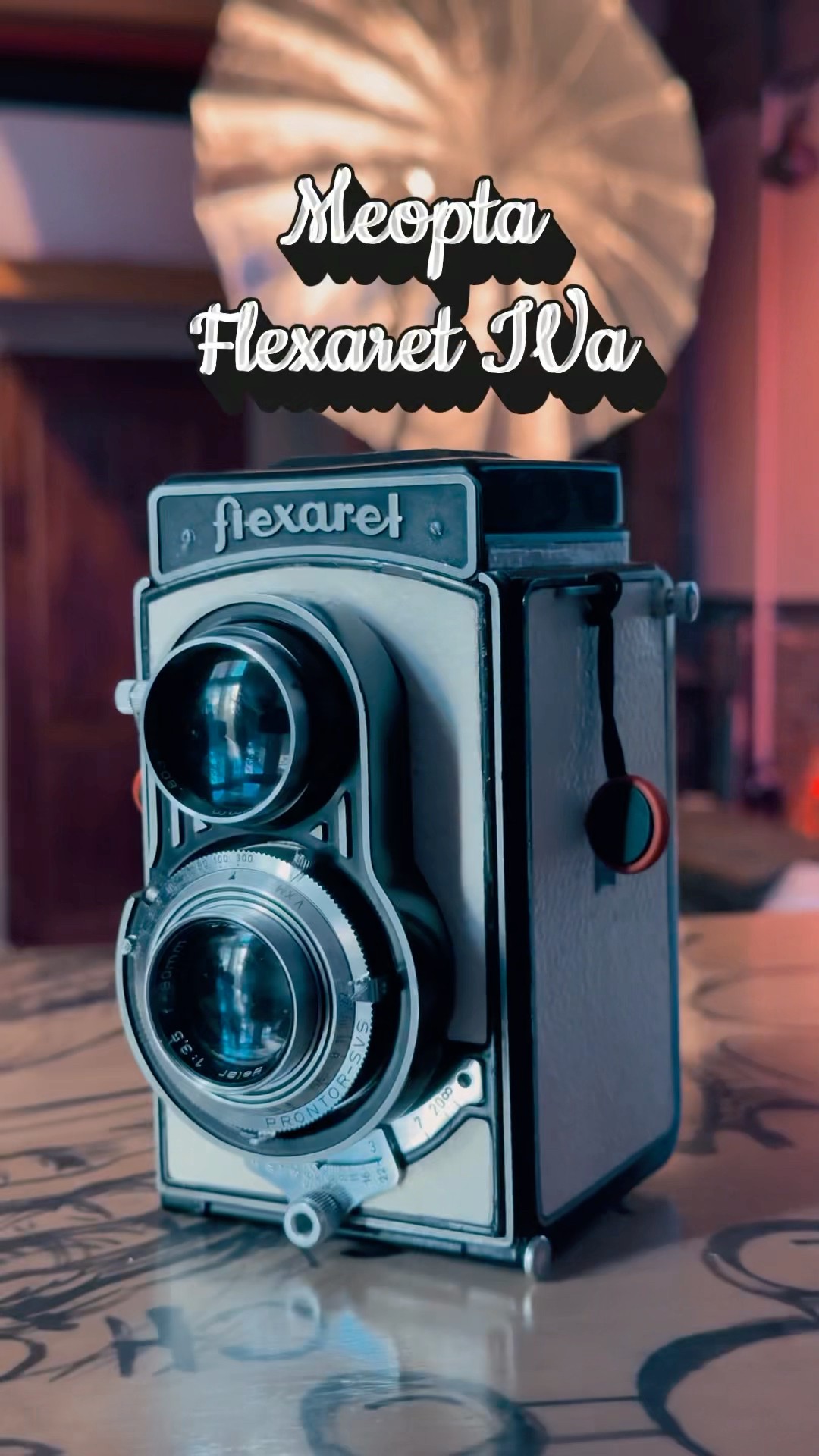 My first photos with the awesome Meopta Flexaret IVa! #filmgear