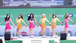 Big영상4K 립버블Lipbubble Yellow Pink 한돈데이 축하공연