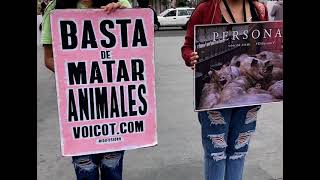 LIBERACIÓN ANIMAL TRAILER