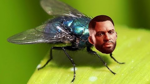 Deathloop The Runt bug