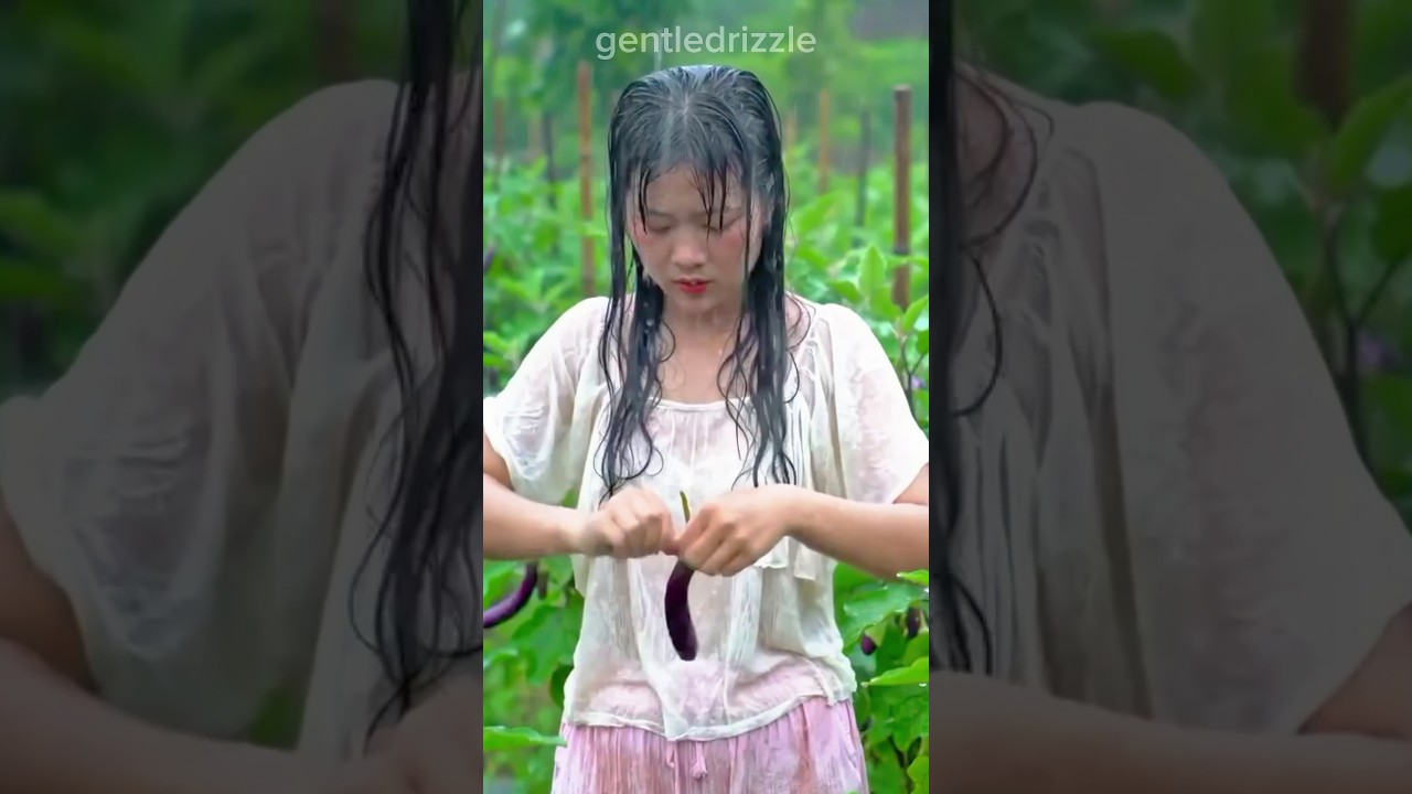 Rain ASMR, pretty girl harvesting eggplants 🍆🌧️ 