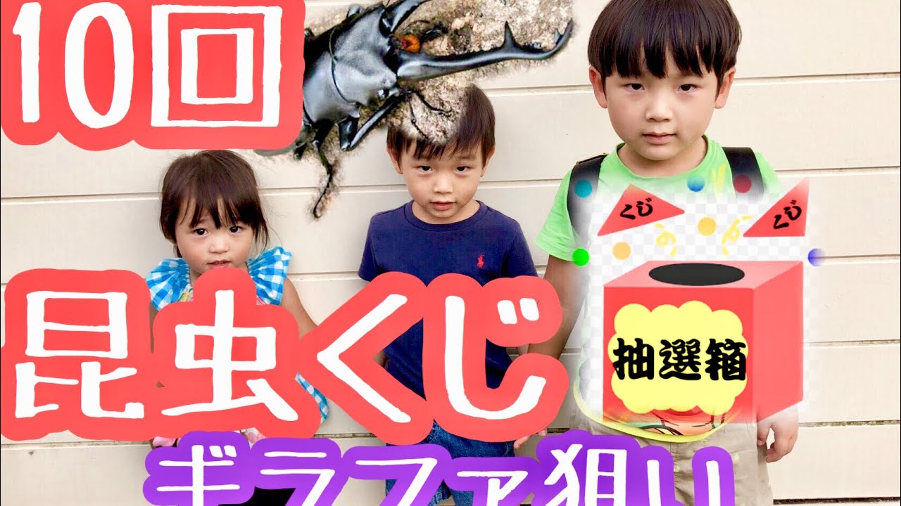 カブトムシ50ペア、くじ10回