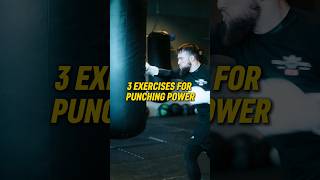 Harder Punches. 3 Moves For Punching Power