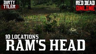 revidere Skelne fætter Rams Head Locations for Daily Challenges Red Dead Online RDR2 - YouTube