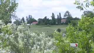 Cleaning up a former landfill in Markham