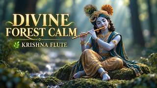 Divine Forest Calm 🌿 Krishna Flute Music || Deep Peace & Relaxation