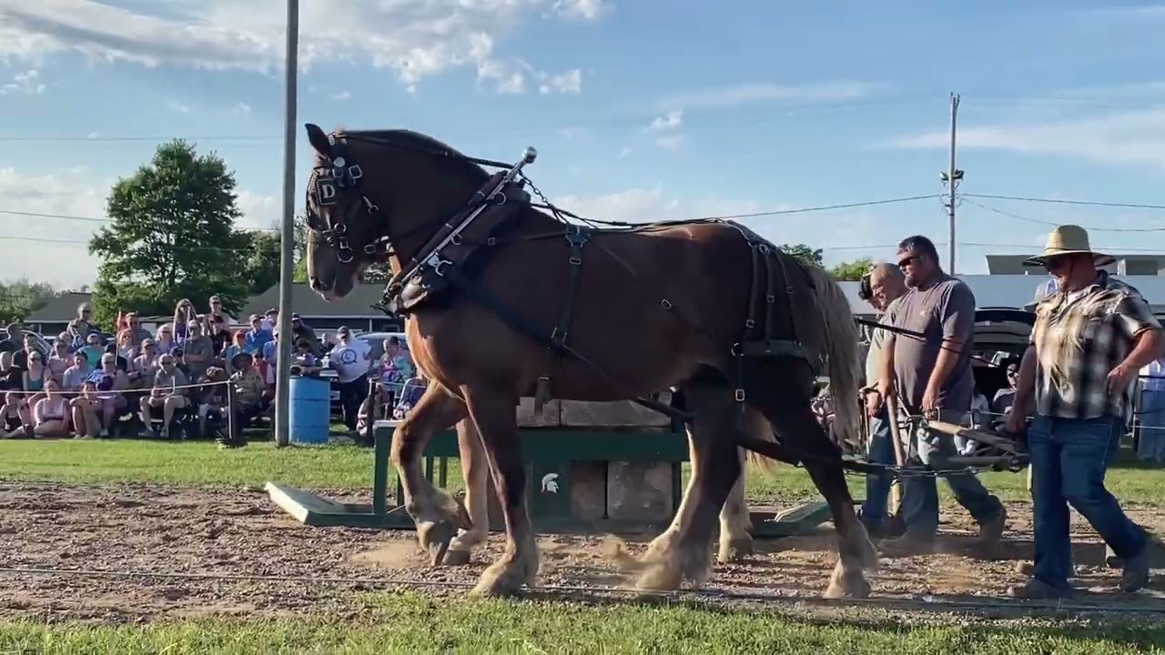 Baldwin Michigan horse pull 2025