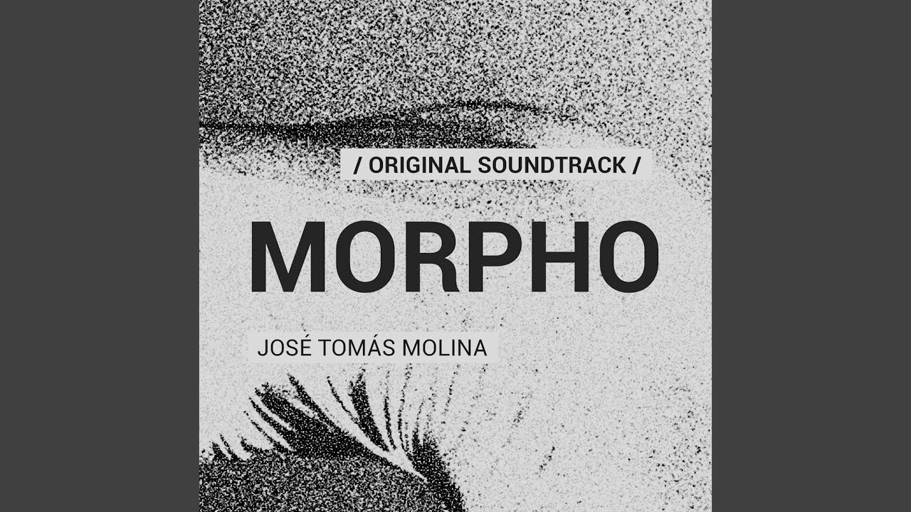 Watch Morpho on YouTube Watch Morpho on YouTube