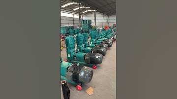 Small Pellet Machine and Chaff Cutter for Animal Feed