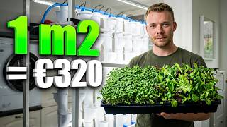 From 1m2 To €320/Month: Hydroponic Salad