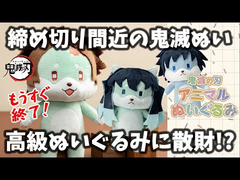 いぬ　鬼滅の刃 玩栗犬と、鬼滅の刃 おねむたん壱～肆の型 大集合 | 玩栗犬 真ホビー