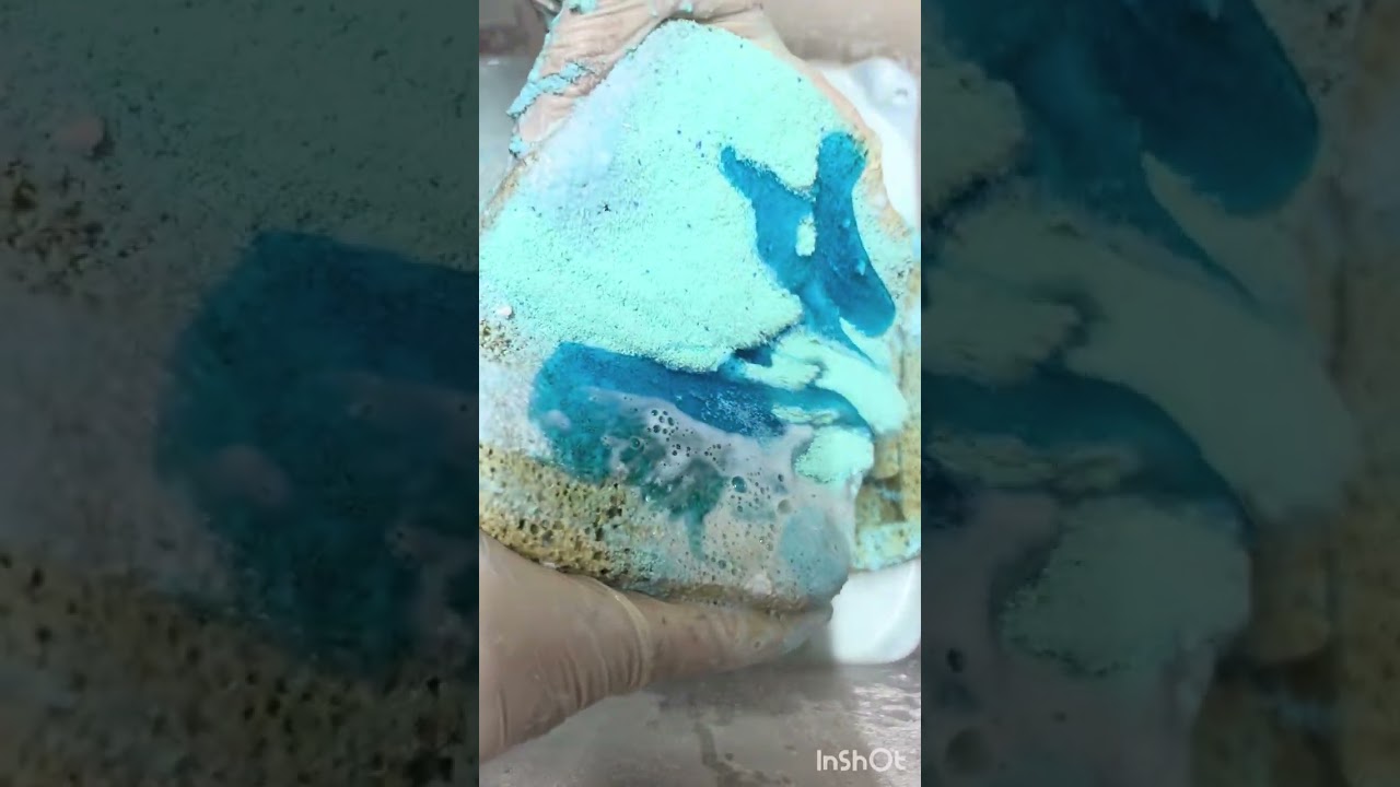 Foca y Roma #cleantok #cleaning #oddlysatisfying #justsoaps 