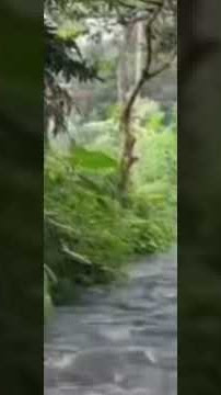 እሲክ ኑእንደ መናፈሻም እንደመዋኛምነው