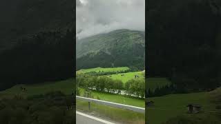 Swiss fields