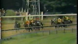 1984 Travers Stakes