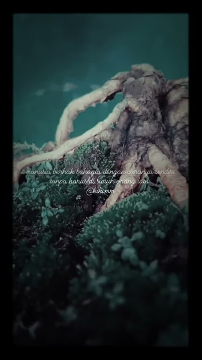 payung teduh story wa .. lagu mahal berjiwa seni