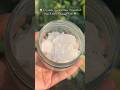 😱 Crystals Turned Into Pain Relief Massage Oil… I Didn’t Expect This!🌿