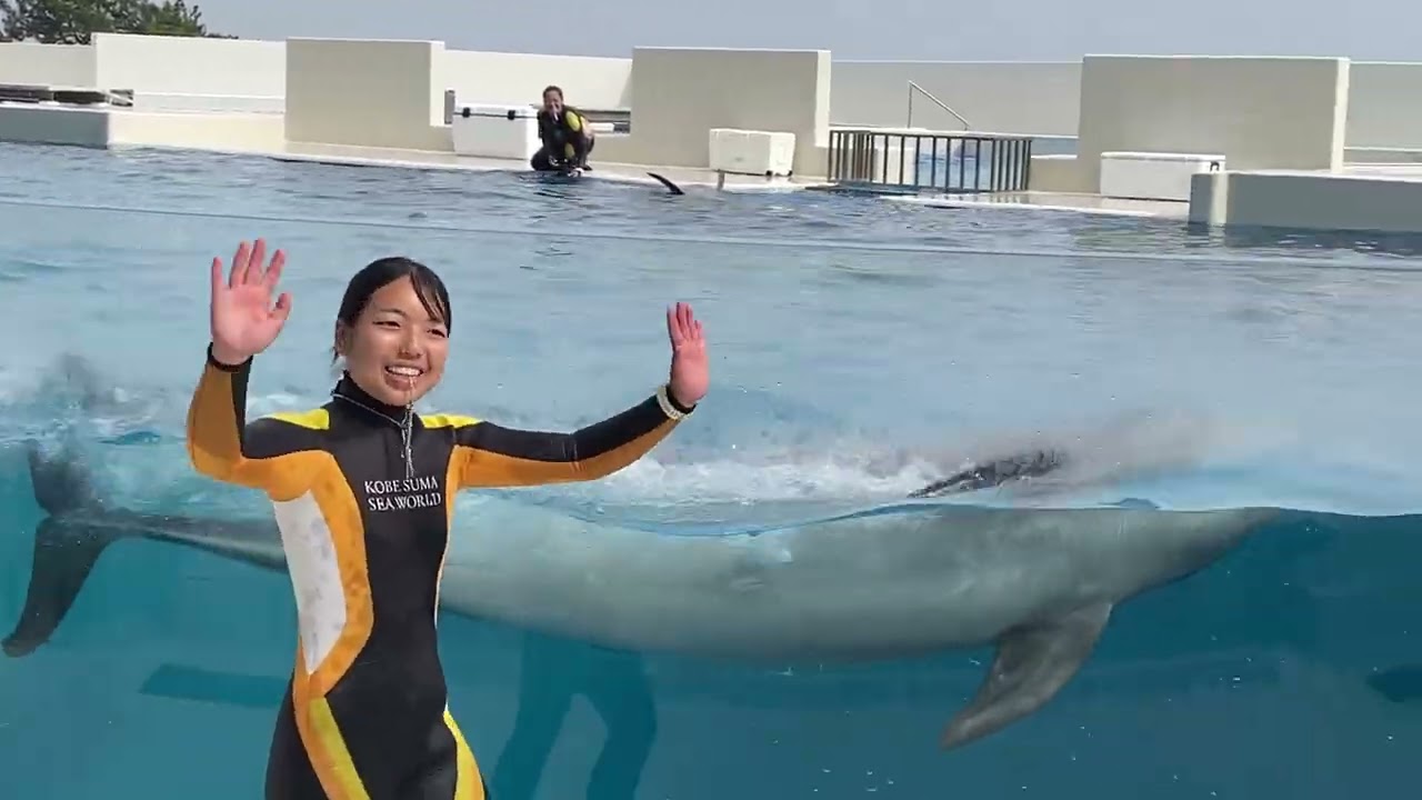 Suma Aquarium Dolphin show