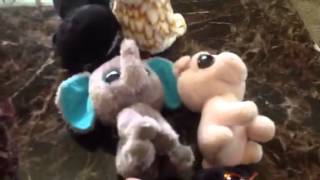 Stuffed Animal Big Eye 3