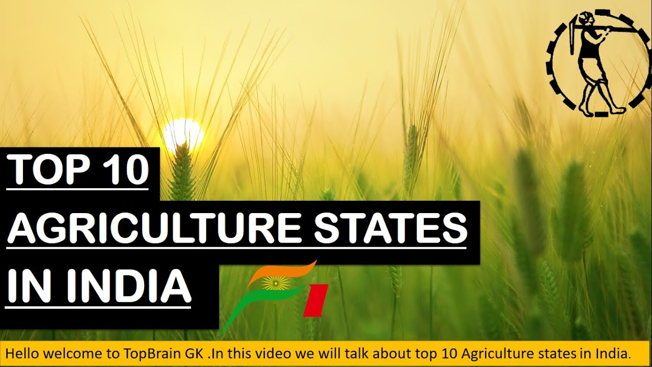 AGRICULTURE STATES IN INDIA | TOP 10 STATES |