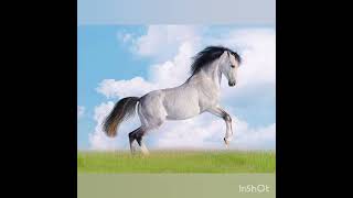 картинка: Венгр халық ертегісі. Ақбоз ат